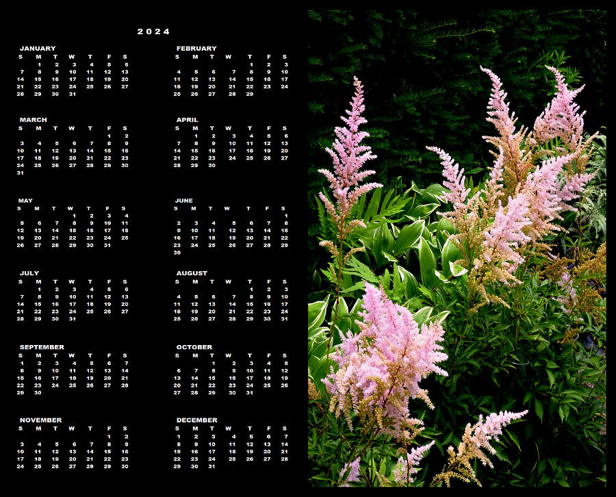 Astilbe, 2024 Calendar Single Page  Photograph by Mike McBrayer