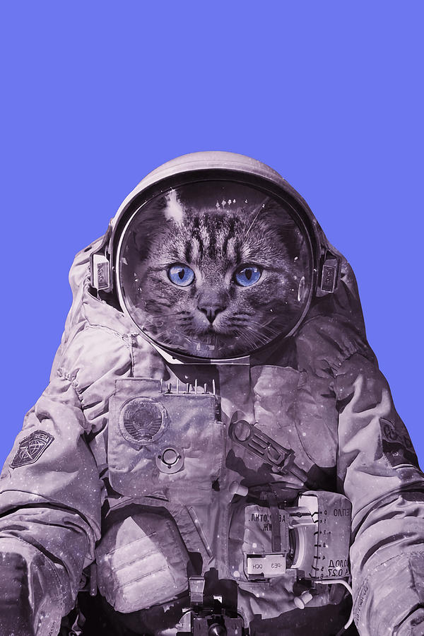 Astronaut Cat Poster girl Painting by Lexi Phillips - Fine Art America