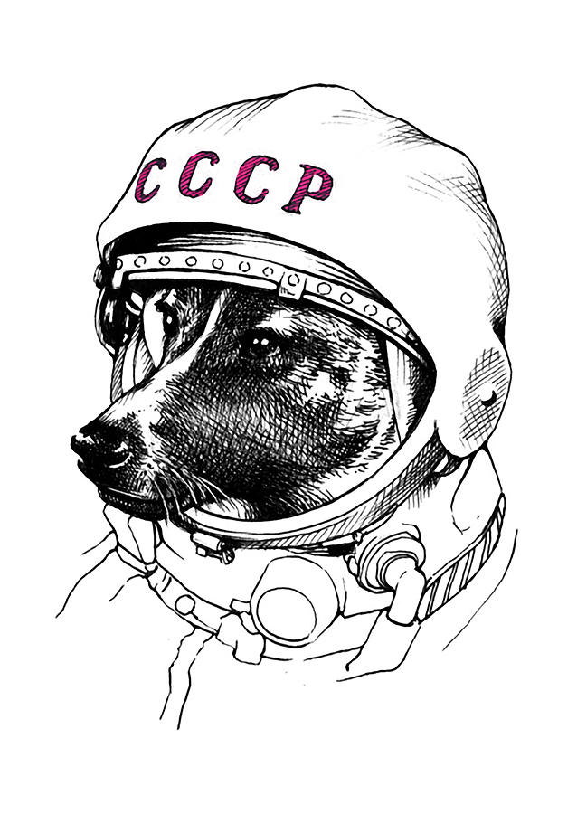 Astronaut Dogs Digital Art