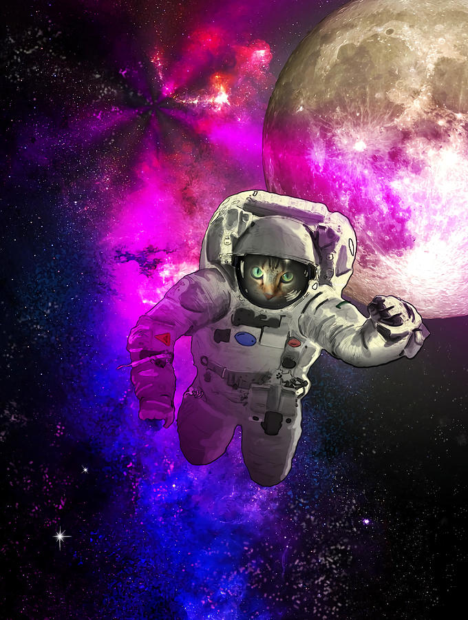 Astronaut Space Kitty Poster aesthetic Painting by Phillips Finley - Pixels