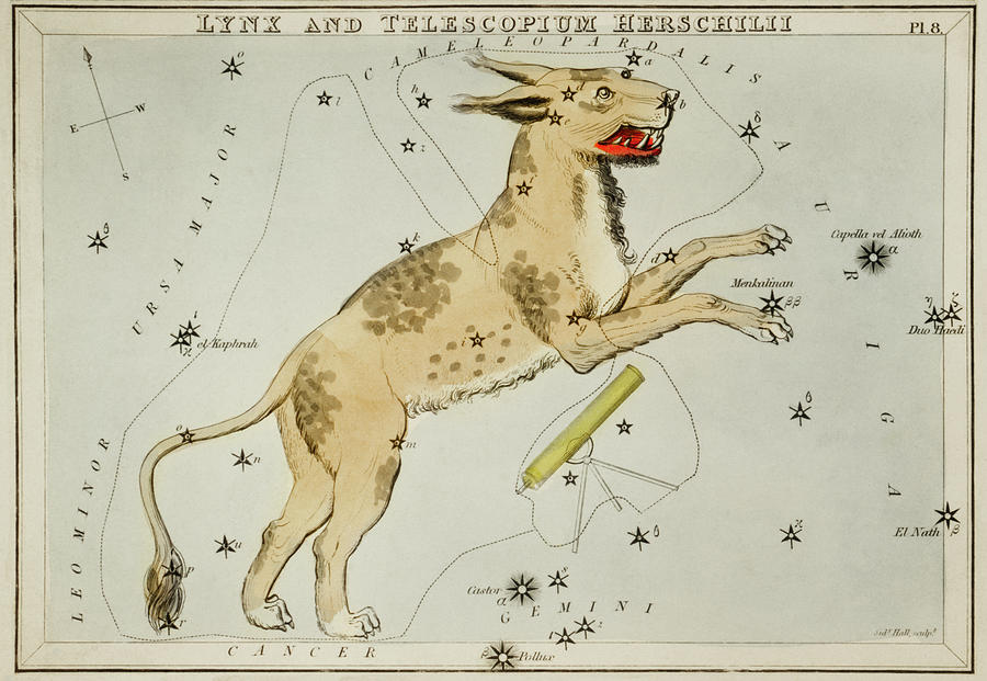 Map Drawing - Astronomical chart illustration of Lynx and the Telescopium Herschilii by Sidney Hall