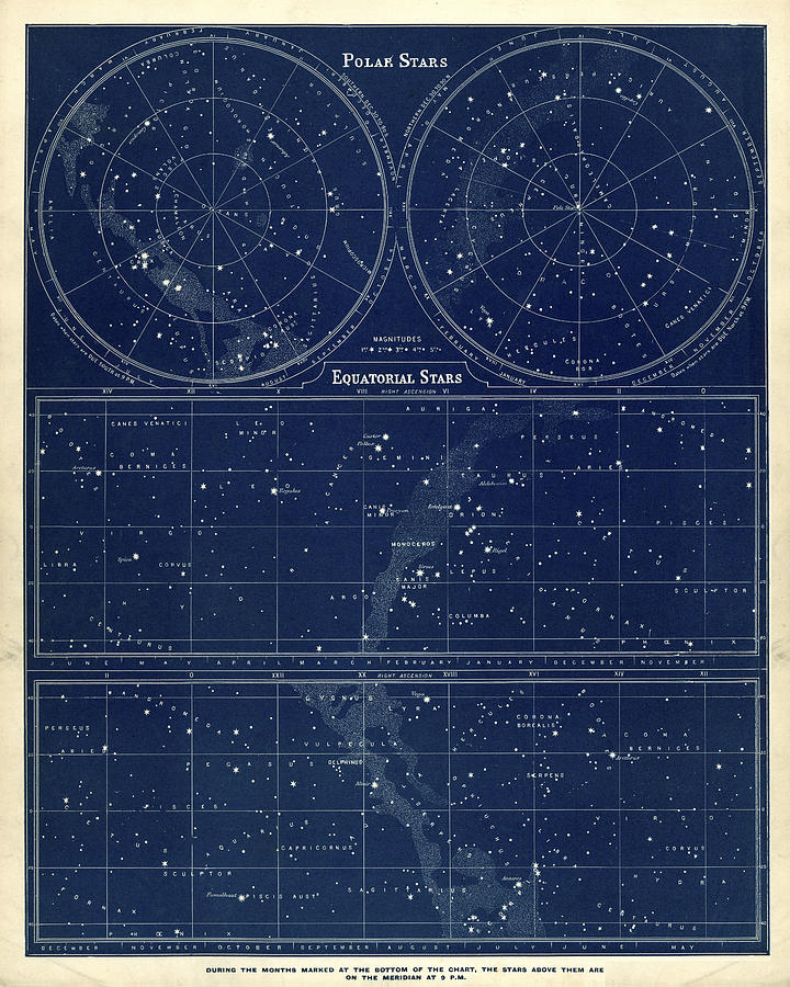 Astronomy chart - Polar and Equatorial Stars Drawing by Duncan1890