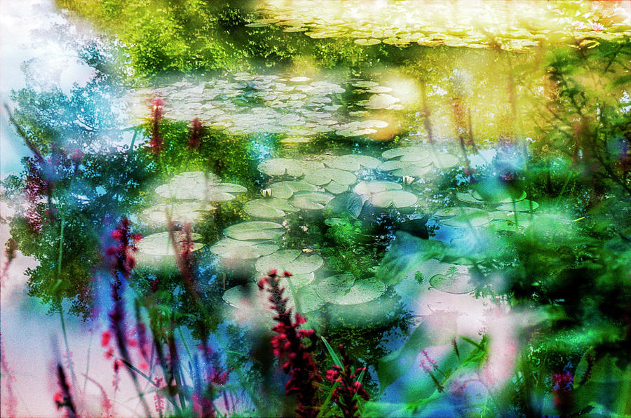 At Claude Monets Water Garden 2 Photograph by Dubi Roman
