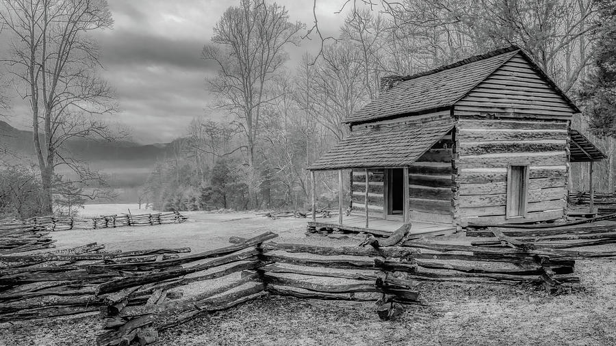 At Home in the Smokies, Black and White Photograph by Marcy Wielfaert
