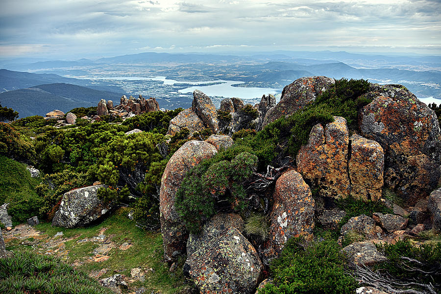 At Mount Wellington Photograph by Andrei SKY