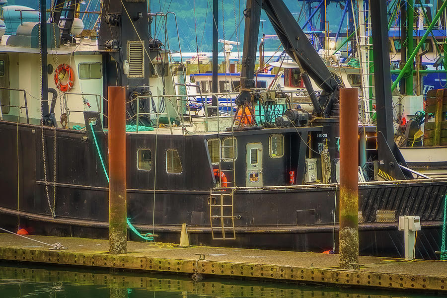 At Port in Newport Photograph by Bill Posner