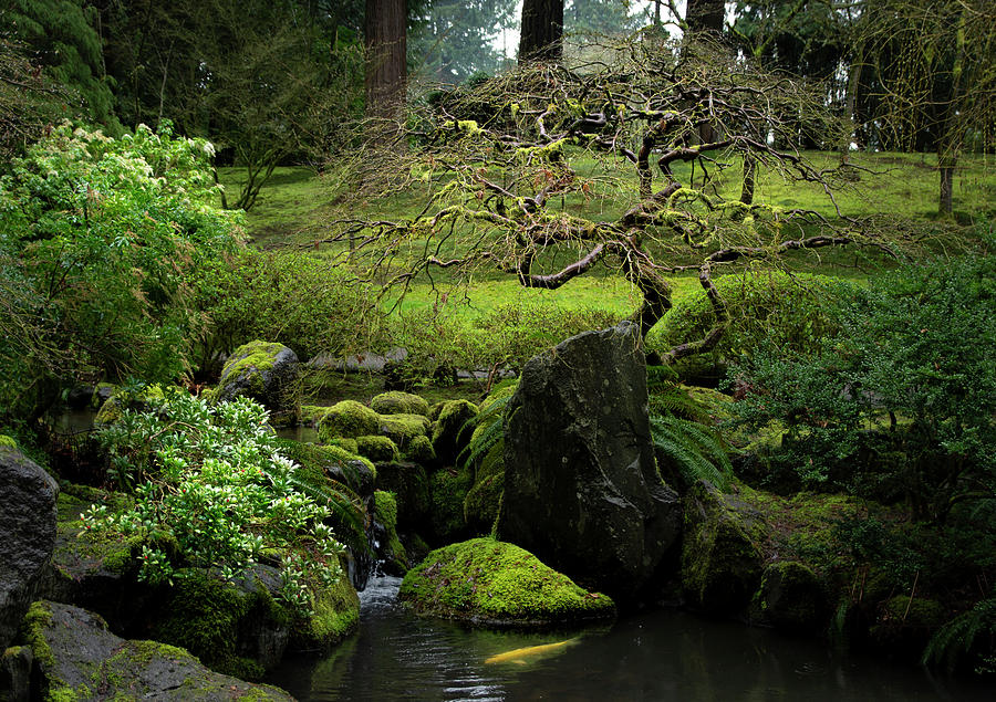 At Portland Japanese Garden 2 Photograph by Dimitry Papkov - Fine Art ...