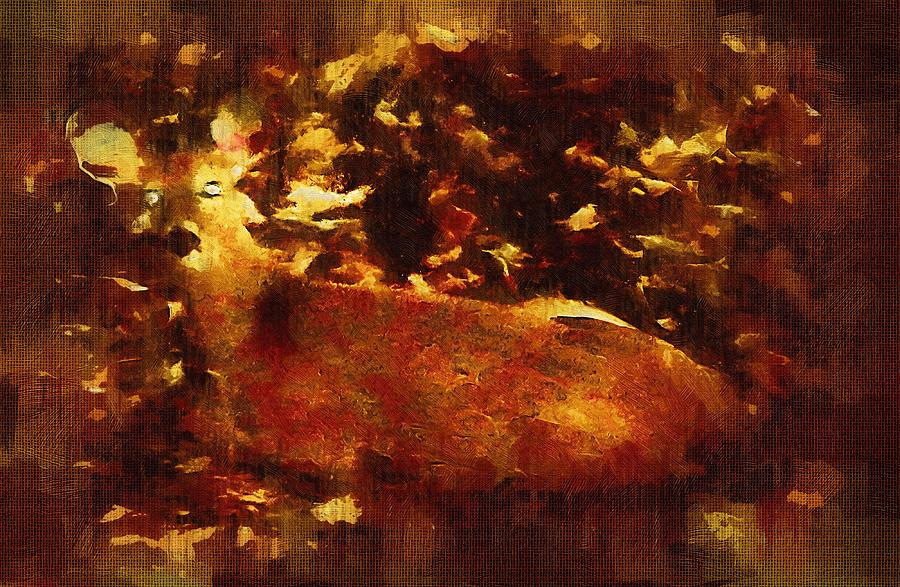 At Rest in the Autumn Woods Mixed Media by Christopher Reed