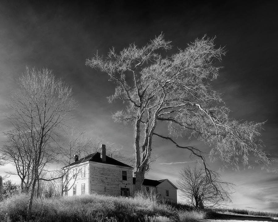 AT Seaman House in infrared Photograph by Murray Rudd