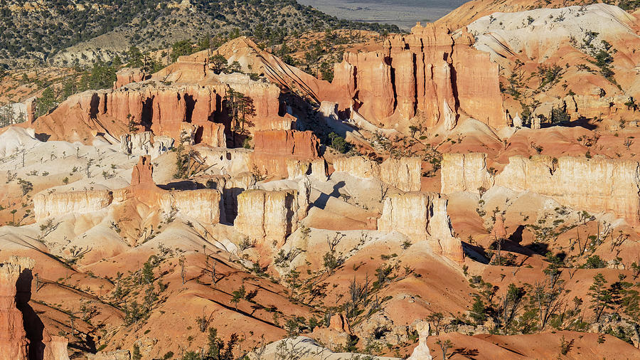 At Sunset Point Bryce Canyon National Park Utah Ii Photograph By Joan 