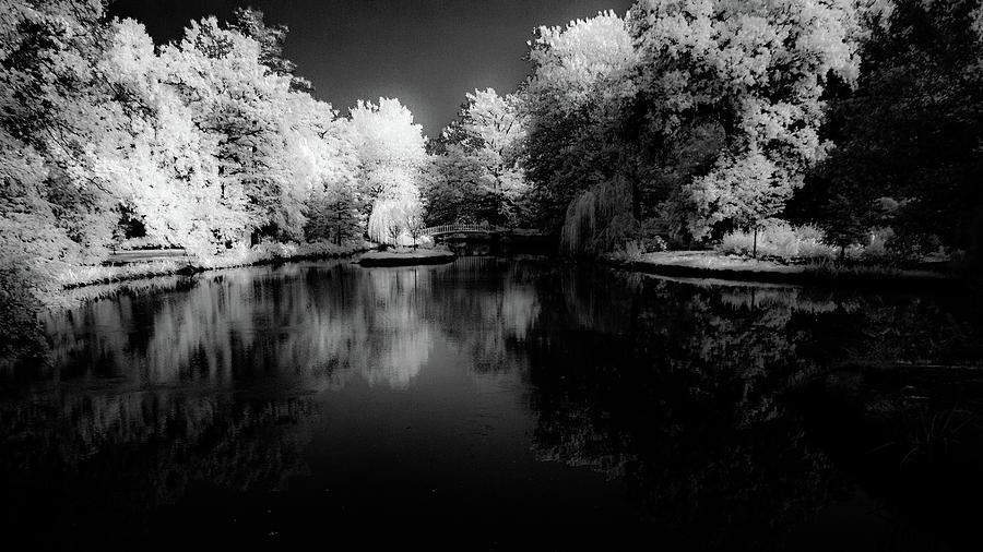 At the Aboretum in Infrared Photograph by Jay Stockhaus