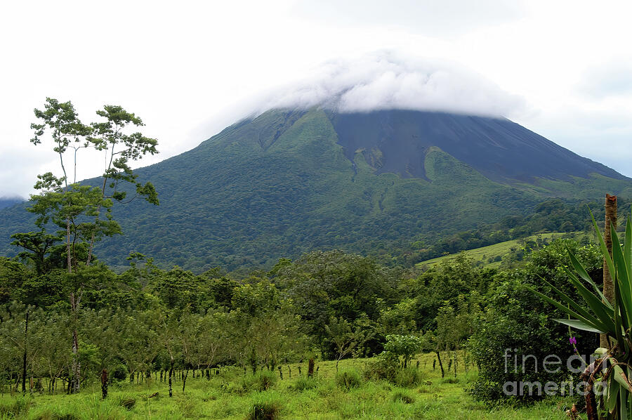 At the Base of Arenal Volcano Photograph by Bob Phillips