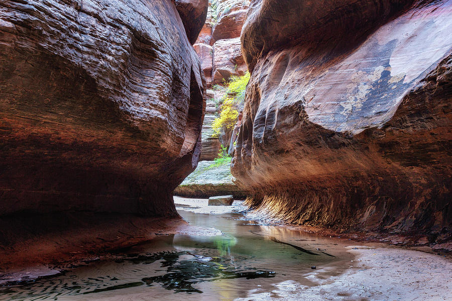 At the Bottom of Subway Canyon Photograph by Alex Mironyuk - Fine Art ...