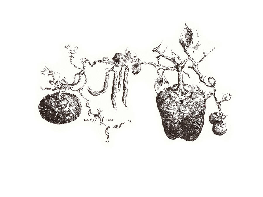At The Community Garden - September 2023 Drawing by Joseph A Langley At The Community Garden - September 2023 Drawing by Joseph A Langley