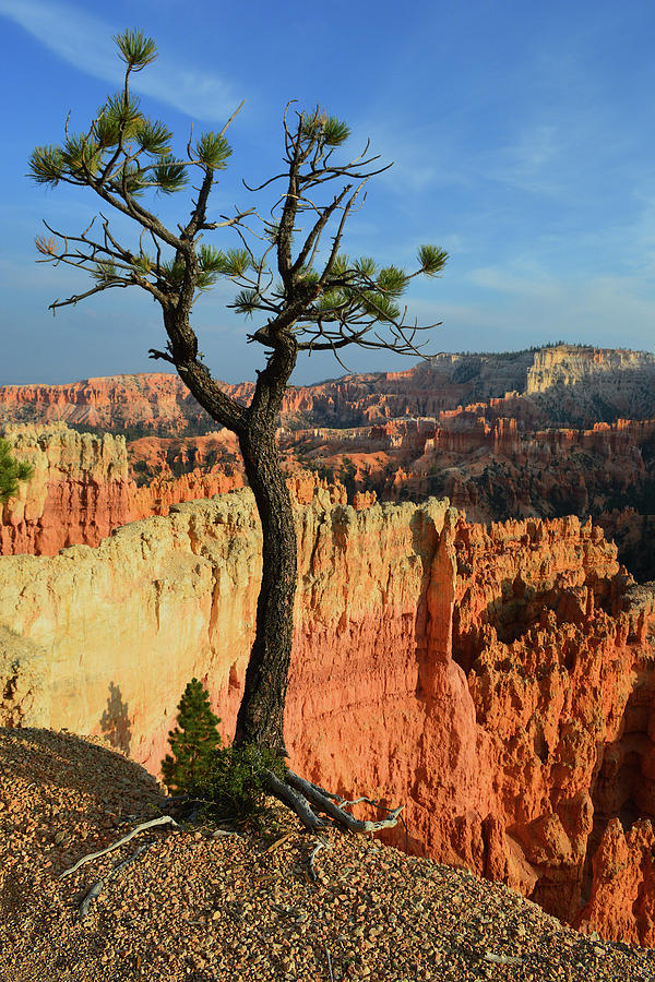 At The Edge Of Bryce Canyon Photograph
