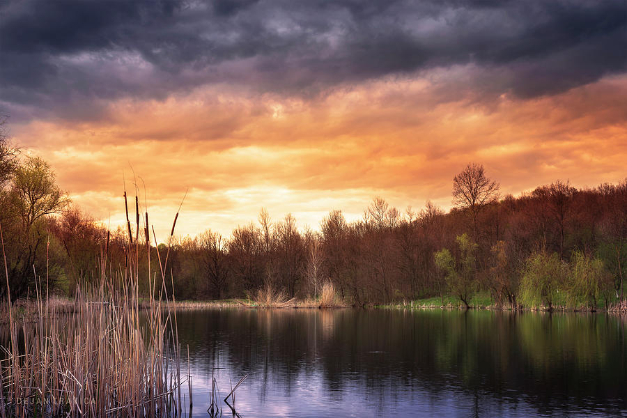 At the end of the small forest lake Photograph by Dejan Travica At the end of the small forest lake Photograph by Dejan Travica
