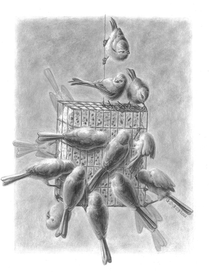 At The Feeder Drawing by George I Perez
