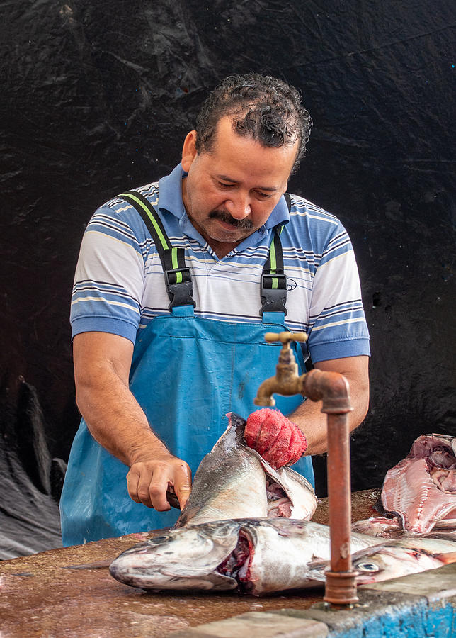 At the Fish Market on Santa Cruz Island in the Galapagos Photograph by L Bosco