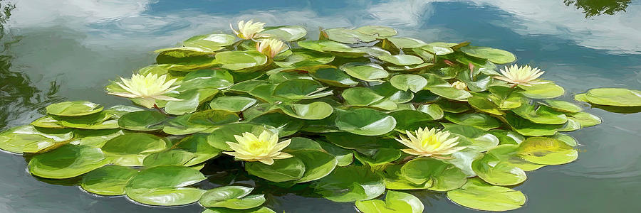Lily Photograph - At the Lily Pond by Teresa Wilson