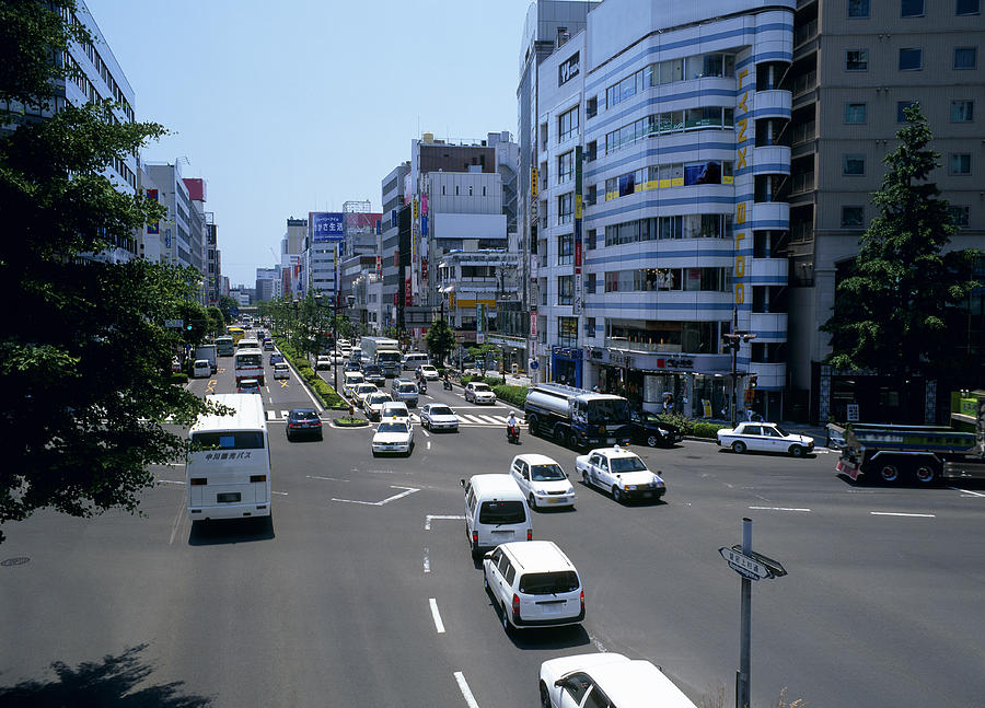 Atago kamisugi Street, Sendai, Miyagi, Japan Photograph by Mixa