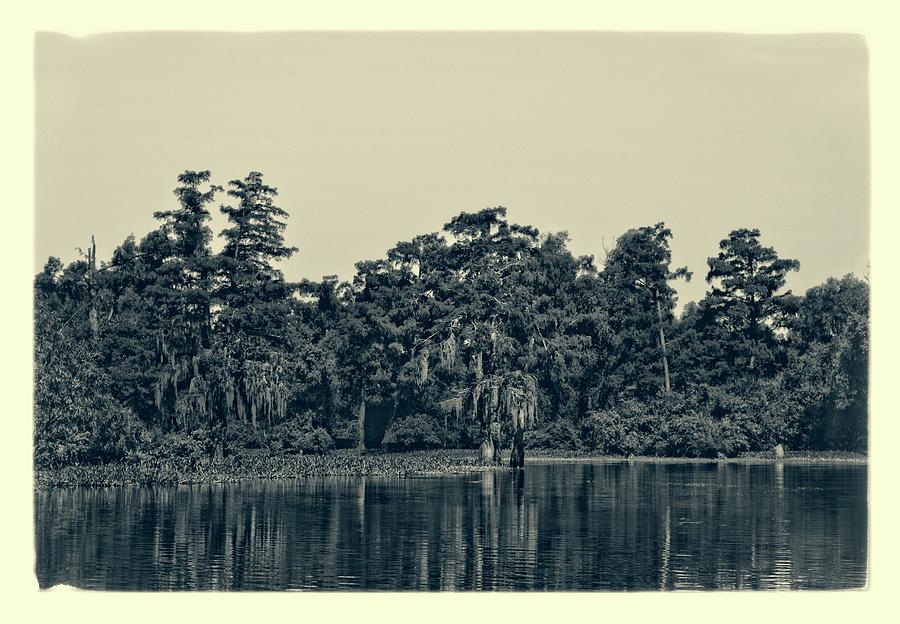 Atchafalaya Basin Southern Louisiana 2021 Ambrotype 115 Photograph by Maggy Marsh