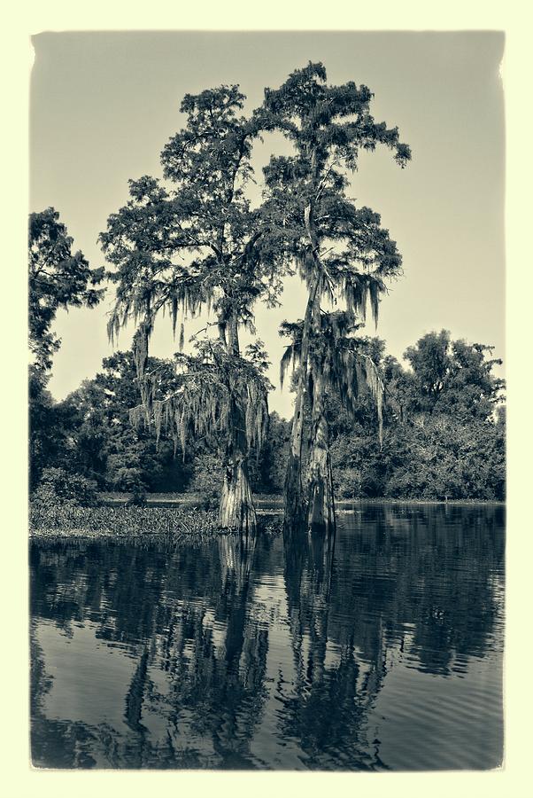 Atchafalaya Basin Southern Louisiana 2021 Ambrotype 118 Photograph by Maggy Marsh