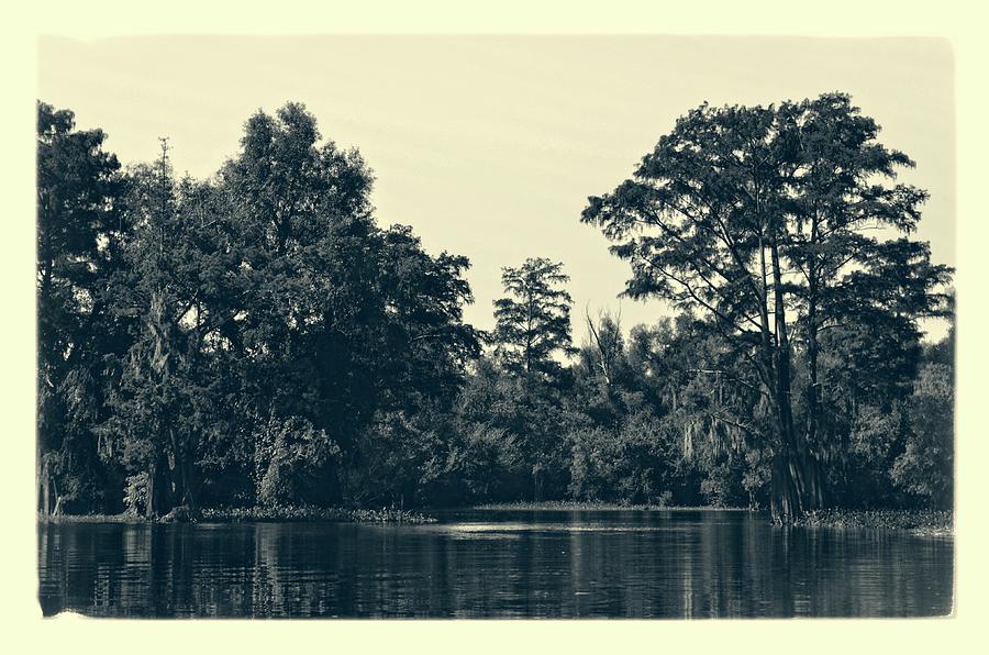 Atchafalaya Basin Southern Louisiana 2021 Ambrotype 120 Photograph by Maggy Marsh