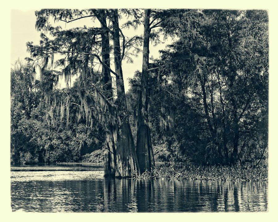 Atchafalaya Basin Southern Louisiana 2021 Ambrotype 122 Photograph by Maggy Marsh