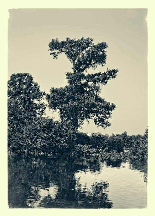 Atchafalaya Basin Southern Louisiana 2021 Ambrotype 132 Photograph by Maggy Marsh