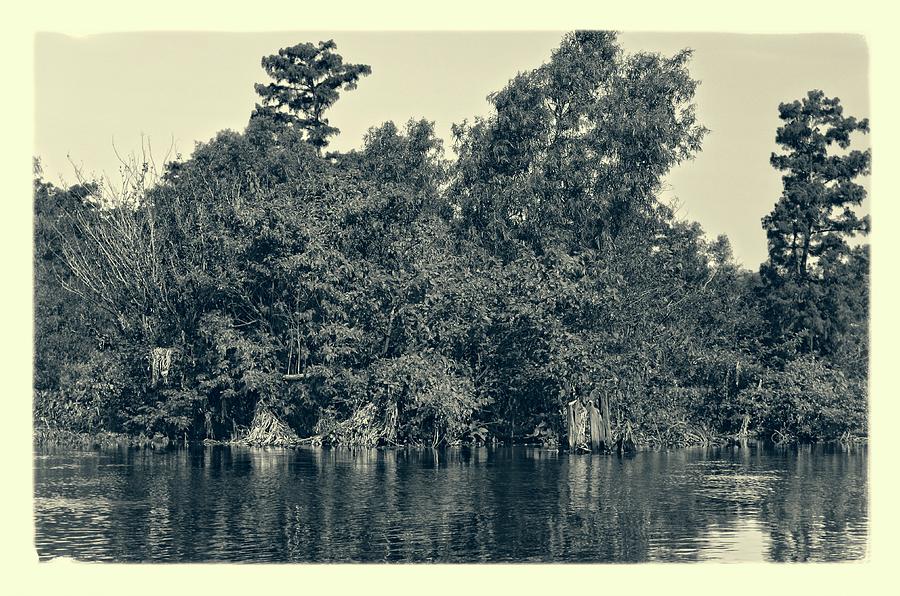 Atchafalaya Basin Southern Louisiana 2021 Ambrotype 86 Photograph by Maggy Marsh
