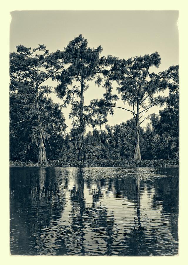 Atchafalaya Basin Southern Louisiana 2021 Ambrotype 88 Photograph by Maggy Marsh