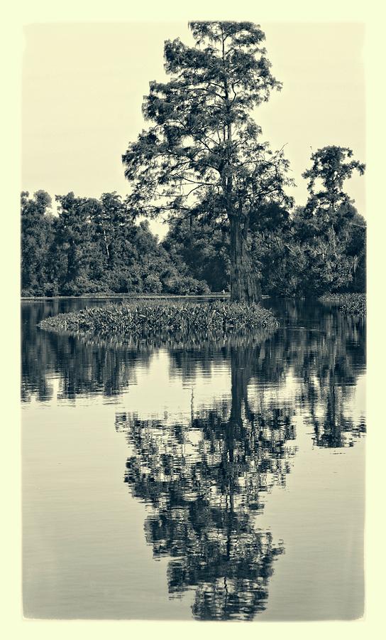 Atchafalaya Basin Southern Louisiana 2021 Ambrotype 91 Photograph by Maggy Marsh