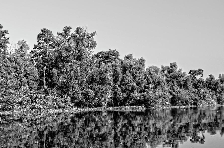 Atchafalaya Basin Southern Louisiana 2021 BW 12 Photograph by Maggy ...