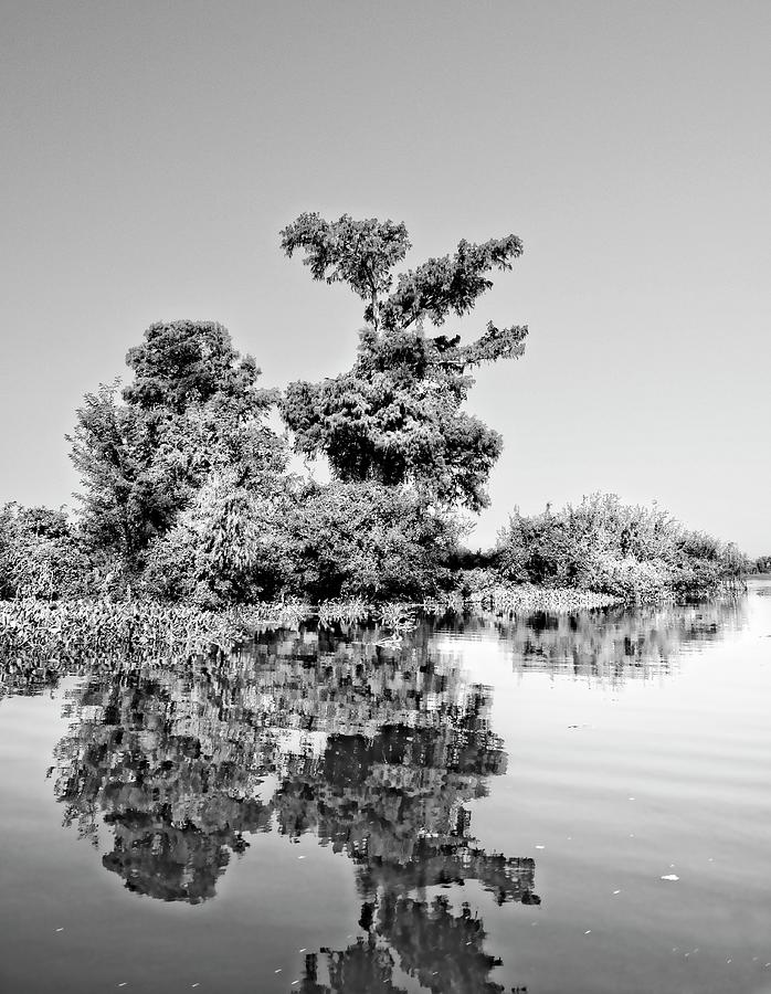 Atchafalaya Basin Southern Louisiana 2021 BW 55 Photograph by Maggy Marsh