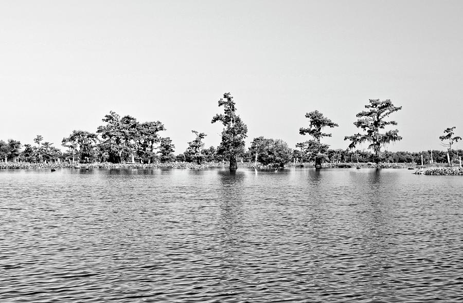 Atchafalaya Basin Southern Louisiana 2021 BW 57 Photograph by Maggy Marsh