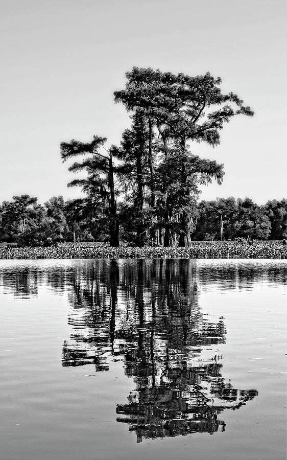 Atchafalaya Basin Southern Louisiana 2021 BW 61 Photograph by Maggy Marsh