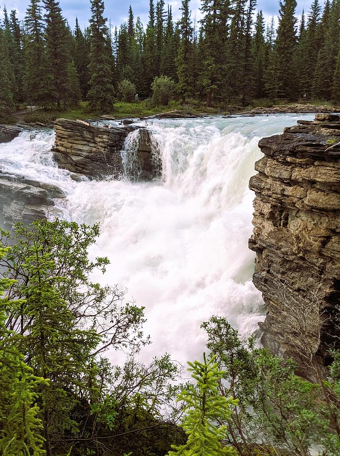 Athabasca Falls 1 Photograph by Lisa Mutch