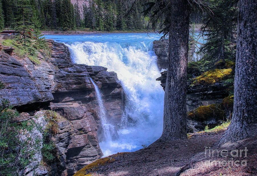 Athabasca River  Falls Alberta Canada Photograph by Elaine Manley