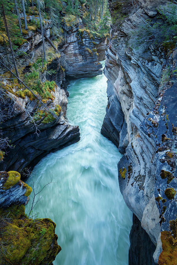 Athabasca Falls, Alberta, Canada Photograph by Rick Deacon