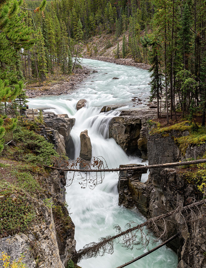 Athabasca Falls Photograph by Anita Wooldridge - Fine Art America