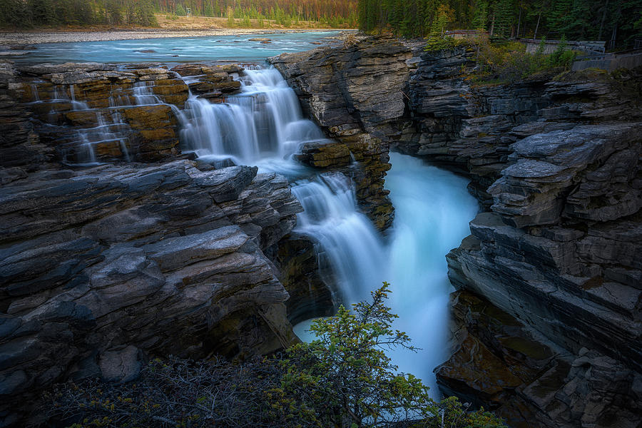  Athabasca Falls  Photograph by Celia Zhen