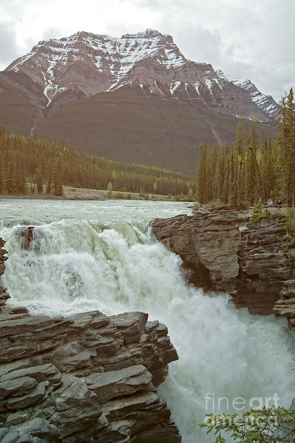 Athabasca Falls Photograph by David Birchall