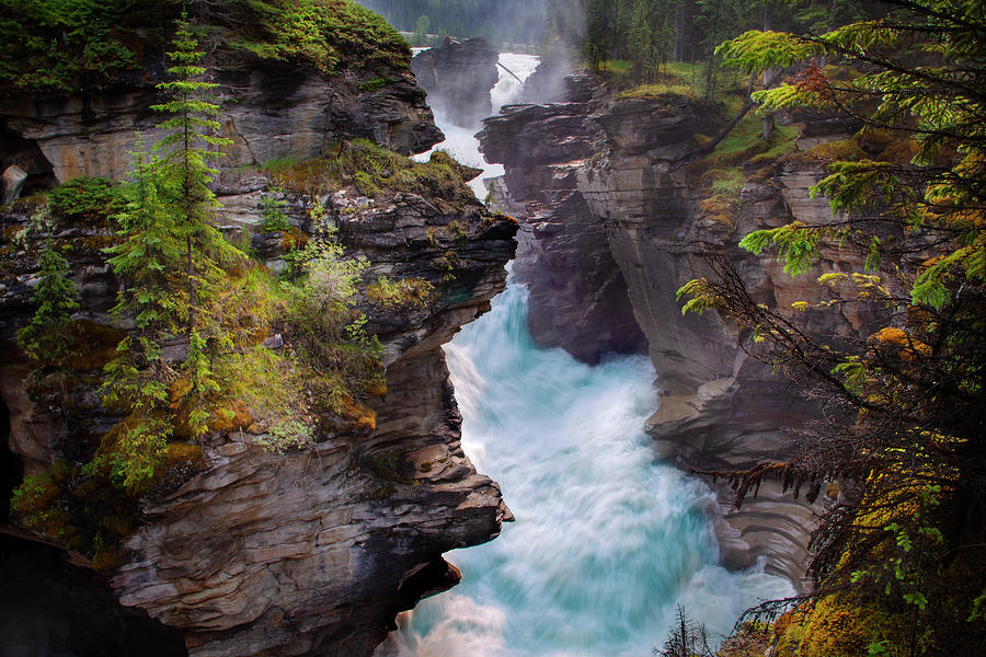 Athabasca Falls Photograph by David Chasey