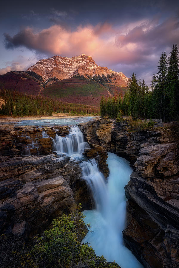  Athabasca Falls in Autumn Photograph by Celia Zhen