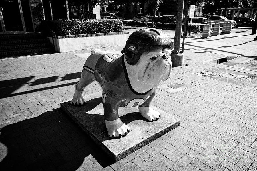 Athens Ga Photograph - Athens Bulldog Statues In Bb T Logo And Colours Athens Georgia Usa by Joe Fox