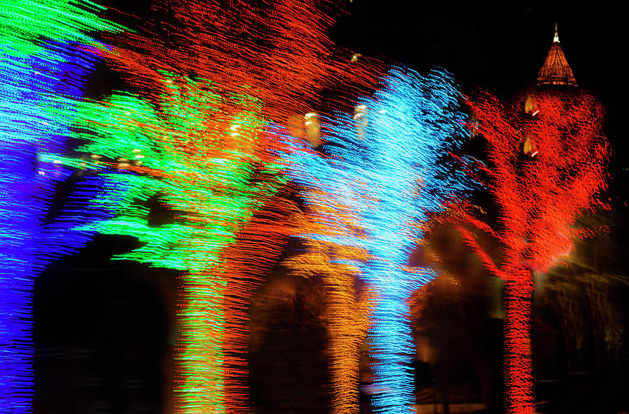 Atlanta Night Trees  Photograph by Karen Cox