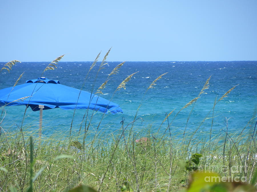 Beach, Ocean, Umbrella, Sea Oats along the Atlantic at Delray Beach Florida  Photograph by Catherine Ludwig Donleycott