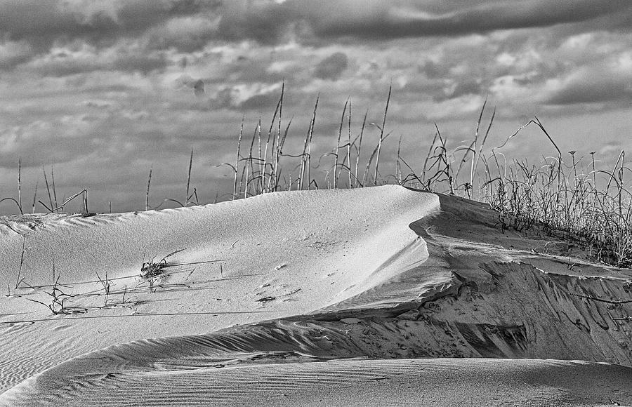 Atlantic Beach Sand Dune at Fort Macon Photograph by Bob Decker