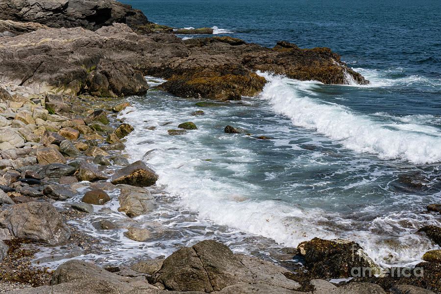 Atlantic Ocean Waves on Cliff Walk Trail Photograph by Bob Phillips
