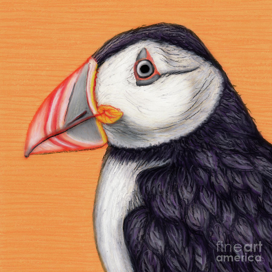Atlantic Puffin Painting by Amy E Fraser
